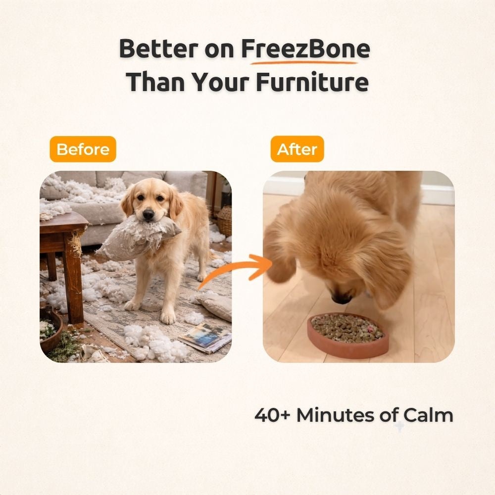 FreezFootball - Tough Enrichment Football Toy