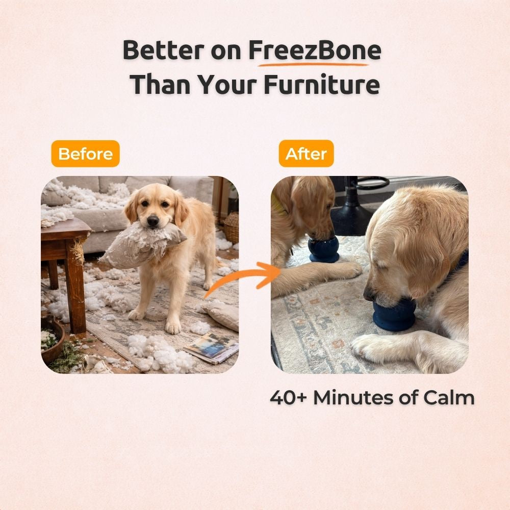 FreezBall Bundle — Best value on the most-loved bones