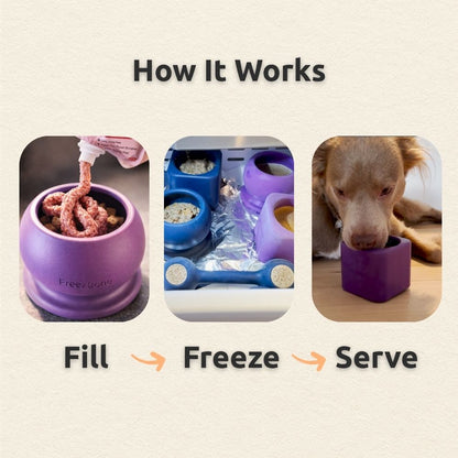 Freezball Refill Bundle - Starter favorite best selling combo