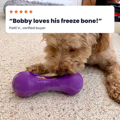 Freezstick in purple with a fluffy dog licking it on a rug. Review: Bobby loves his freeze bone! Patti V., verified buyer