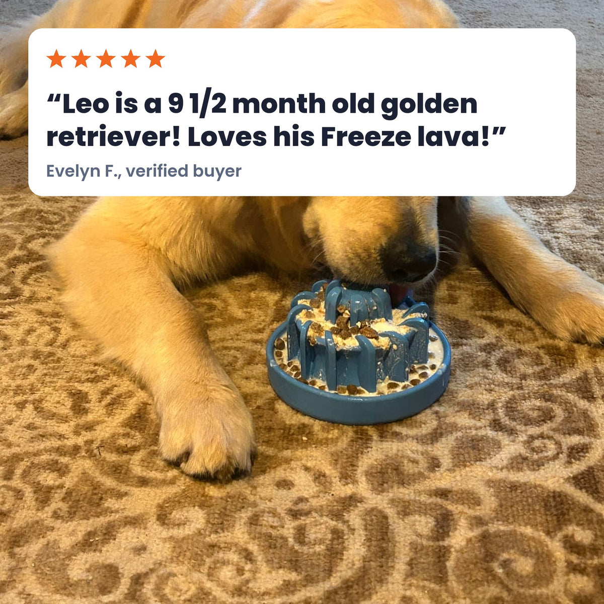 FreezLava in light blue, filled, with a golden retriever licking it. Review: Leo is a 9 1/2 month old golden retriever! Loves his Freeze lava! Evelyn F., verified buyer