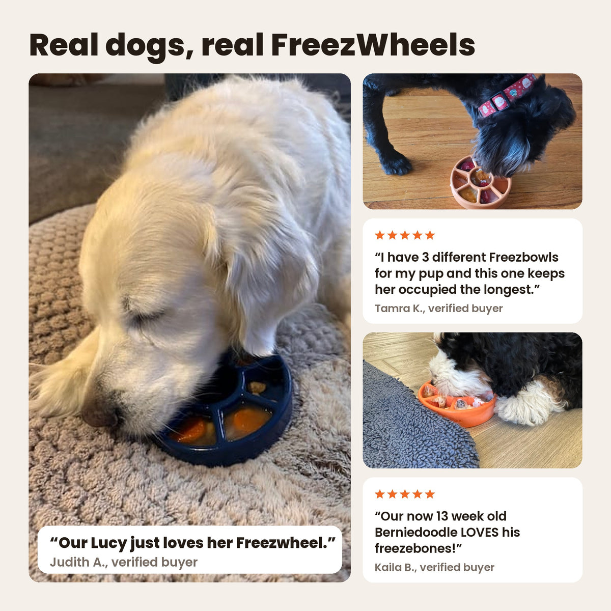 FreezWheel with real dogs: a golden retriever licking a navy FreezWheel, and two dogs licking orange FreezWheels. Reviews from Judith A., Tamra K. and Kaila B.