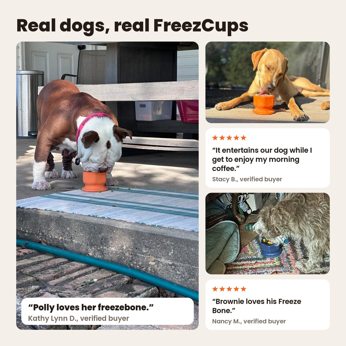 FreezCup with real dogs: a bulldog and a yellow dog licking orange FreezCups, and a terrier at a navy FreezCup. Reviews from Kathy Lynn D., Stacy B. and Nancy M.
