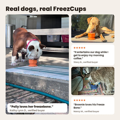 FreezCup with real dogs: a bulldog and a yellow dog licking orange FreezCups, and a terrier at a navy FreezCup. Reviews from Kathy Lynn D., Stacy B. and Nancy M.