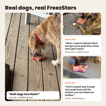 FreezStar with real dogs: a golden retriever, a brindle dog and a doodle licking coral FreezStars. Reviews from Amy M., Rebecca R. and Gail B.