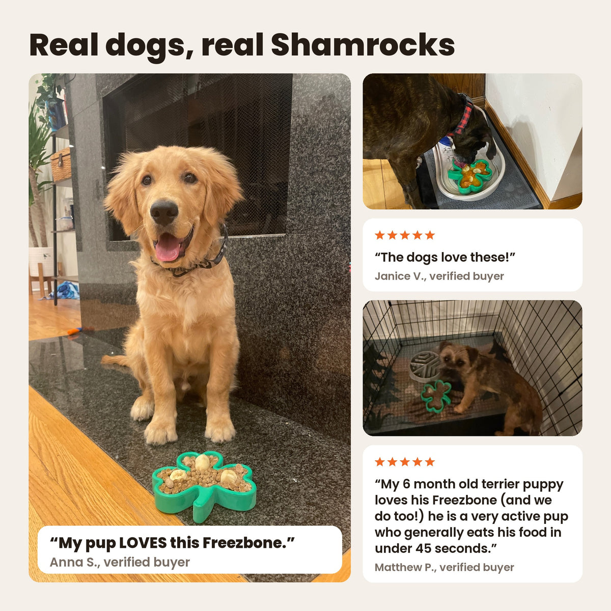 FreezShamrock with real dogs: a golden retriever puppy sitting by a filled shamrock, a boxer eating from one, and a terrier puppy in a pen with one. Reviews from Anna S., Janice V. and Matthew P.