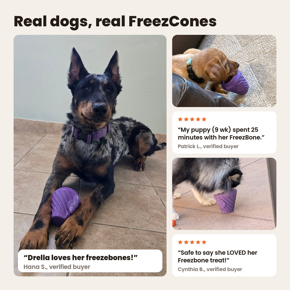 FreezCone with real dogs: a dog lying with a purple FreezCone, a puppy and a husky licking purple FreezCones. Reviews from Hana S., Patrick L. and Cynthia B.