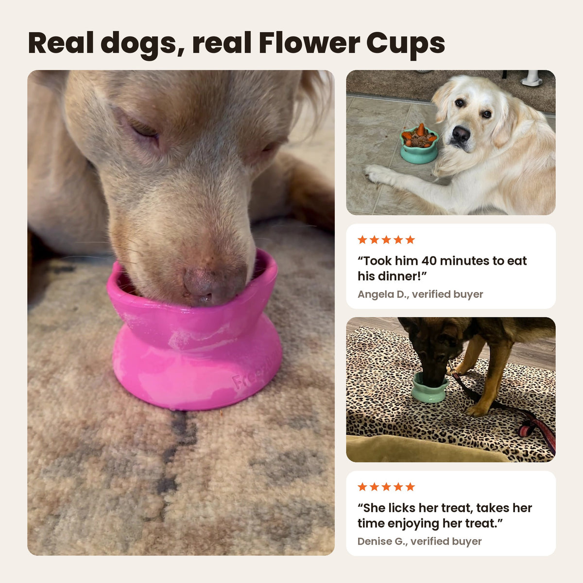 Freezflower Cup: a dog licking a pink Freezflower Cup, a golden retriever and a shepherd mix with aqua cups. Reviews from Angela D. and Denise G.