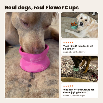 Freezflower Cup: a dog licking a pink Freezflower Cup, a golden retriever and a shepherd mix with aqua cups. Reviews from Angela D. and Denise G.