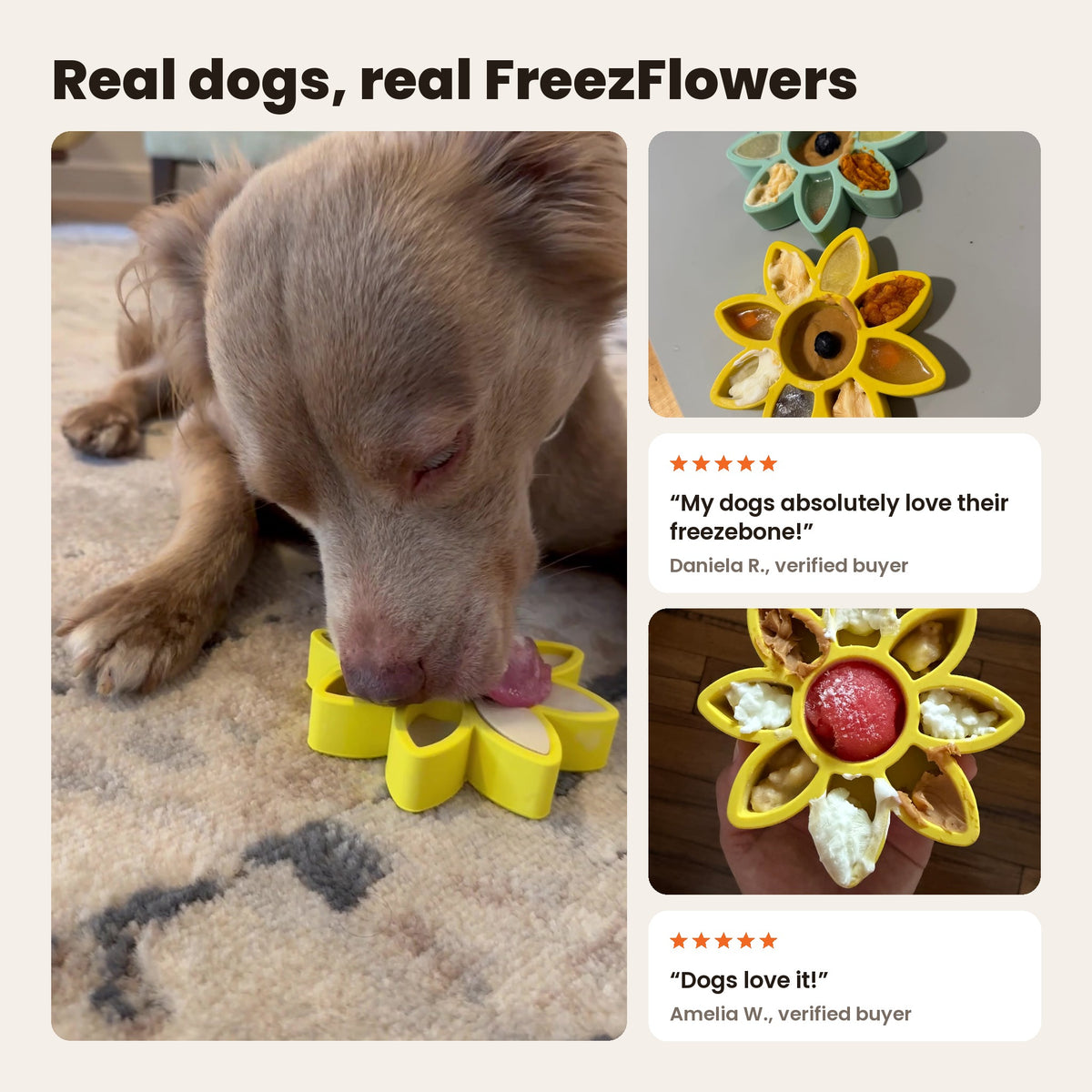 FreezFlower: a dog licking a yellow FreezFlower, with customer photos of filled FreezFlowers. Reviews from Daniela R. and Amelia W.