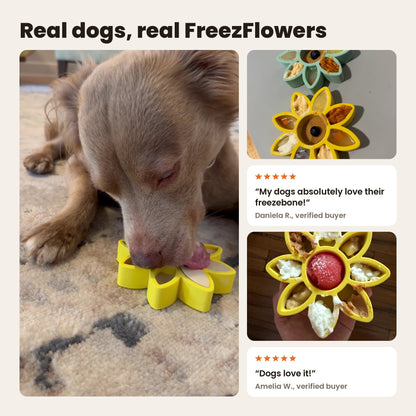FreezFlower: a dog licking a yellow FreezFlower, with customer photos of filled FreezFlowers. Reviews from Daniela R. and Amelia W.