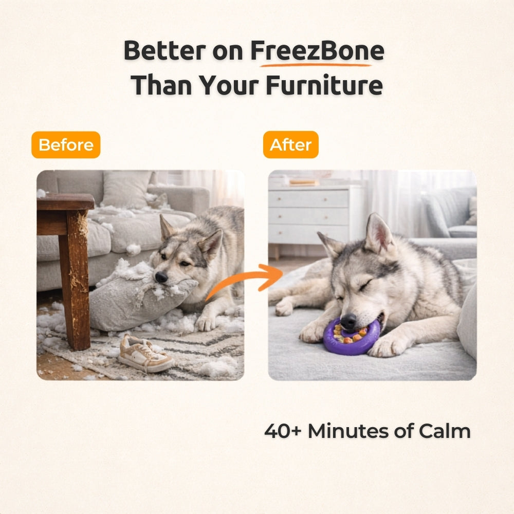 Freez Doughnut - Super Durable Treat Toy