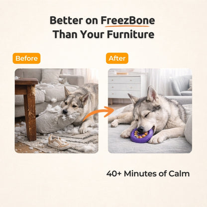 Freez Doughnut - Super Durable Treat Toy