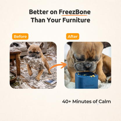 Freezbox - Super Tough Treat Toy