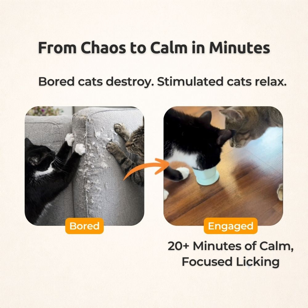 FreezSip Cat Fun Toy