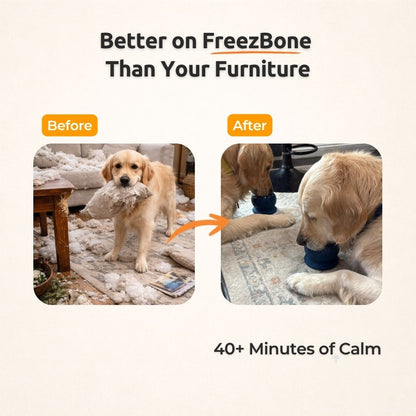 Freezbone Complete Dog Enrichment Bundle – 8 Slow Feeder & Frozen Treat Toys for Dogs 25–75 lbs