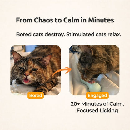 FreezWhisk Cat Calm Feed Bowl