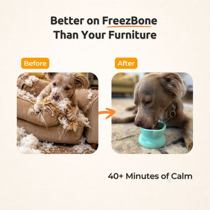 Freezflower Cup -  Frozen Treat Cup for Calm, Happy Dogs