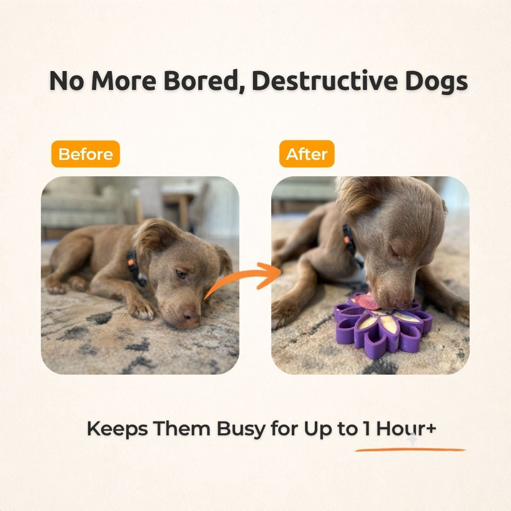 FreezSunflower - Interactive Frozen Sunflower Dog Chew For Tough Chewers