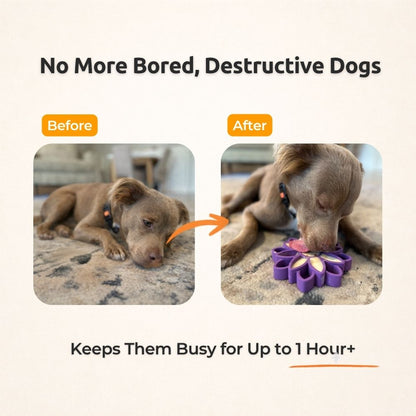 FreezSunflower - Interactive Frozen Sunflower Dog Chew For Tough Chewers