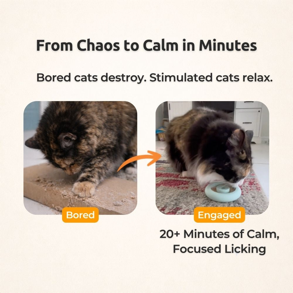 Freezring Cat Zen Relief Toy