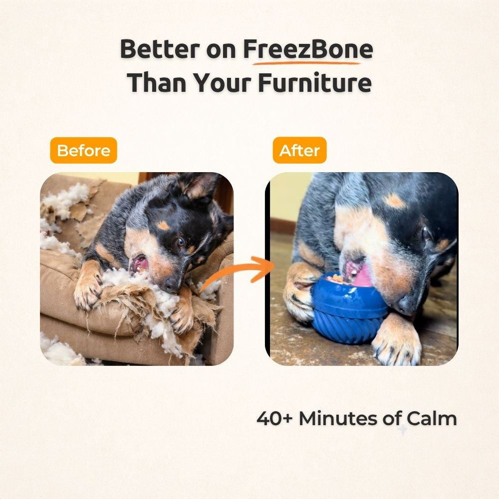 FreezJumbo™ – Our Biggest & Toughest Enrichment Toy Ever