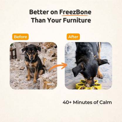 FreezFlower - Long-Lasting Frozen Flower Dog Treat Toy