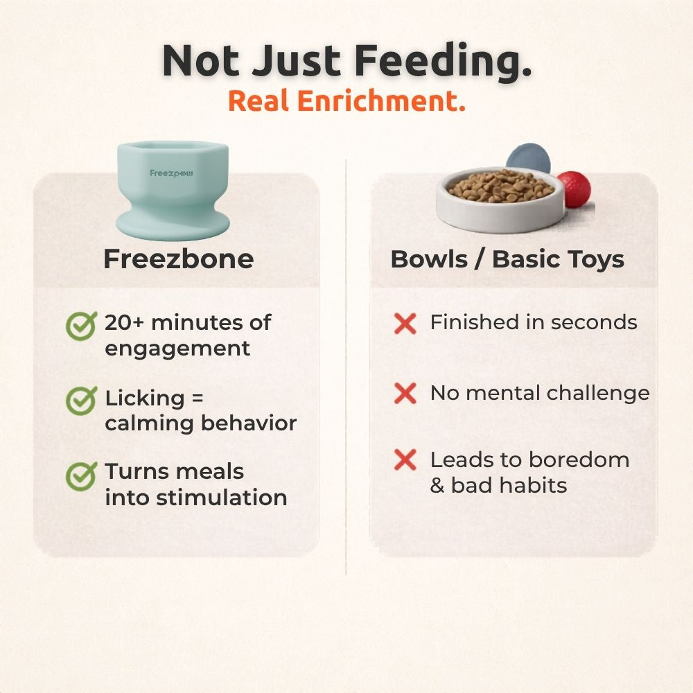 FreezSip Cat Fun Toy