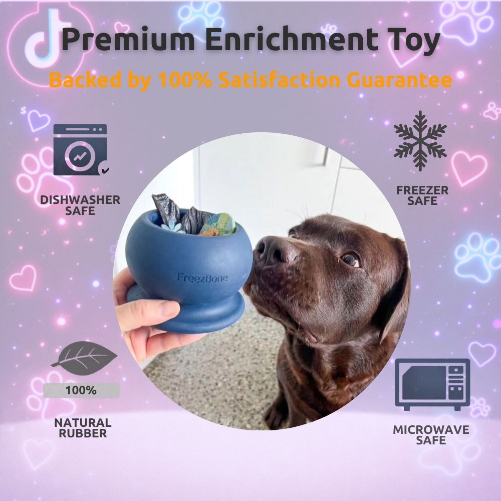Tiktok Best Seller Bundle - The toys that go viral for a reason