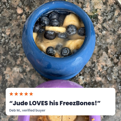 Two FreezBalls filled with bananas, blueberries and a heart treat. Review: Jude LOVES his FreezBones! Deb M.