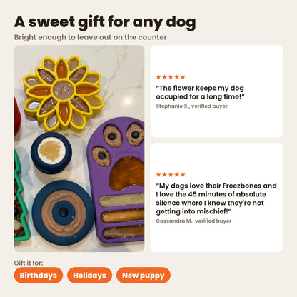 FreezSunflower filled and sitting on a kitchen counter with other FreezBone toys, a sweet gift for birthdays, holidays or a new puppy. Reviews from Stephanie S. and Cassandra M.