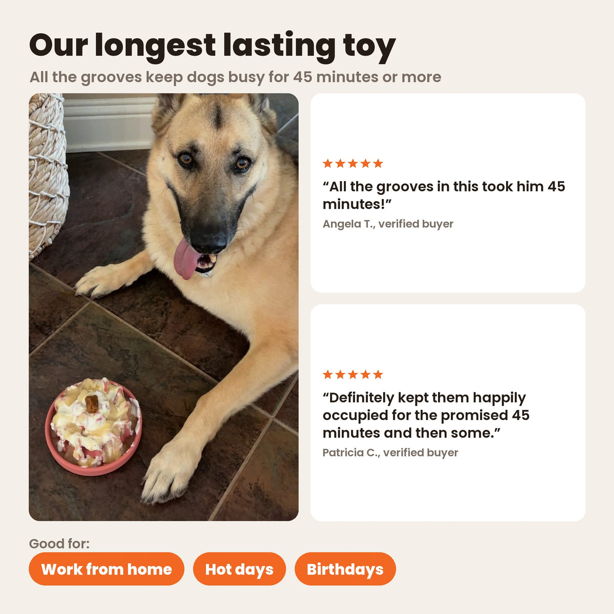 FreezLava, our longest lasting toy: a German Shepherd next to a filled coral FreezLava, with reviews from Angela T. and Patricia C. about 45 minutes. Good for work from home, hot days and birthdays