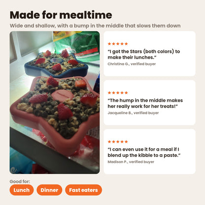 FreezStar made for mealtime: navy and coral FreezStars filled with kibble and strawberries. Wide and shallow, with a bump in the middle that slows dogs down