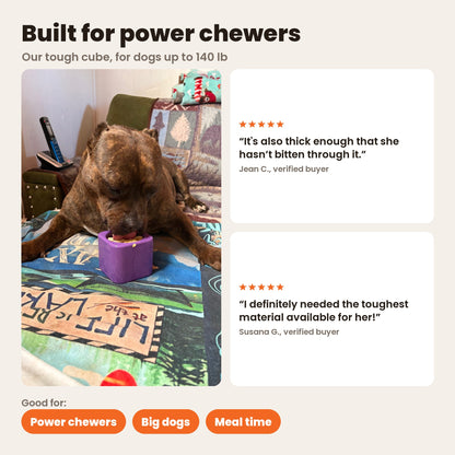 Freezbox built for power chewers: a brindle dog chewing a purple Freezbox, with reviews from Jean C. and Susana G. Good for power chewers, big dogs and meal time