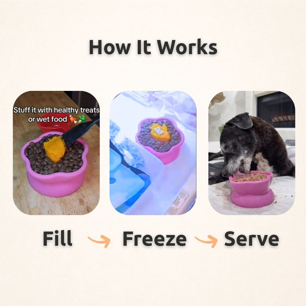 Freezflower Cup -  Frozen Treat Cup for Calm, Happy Dogs