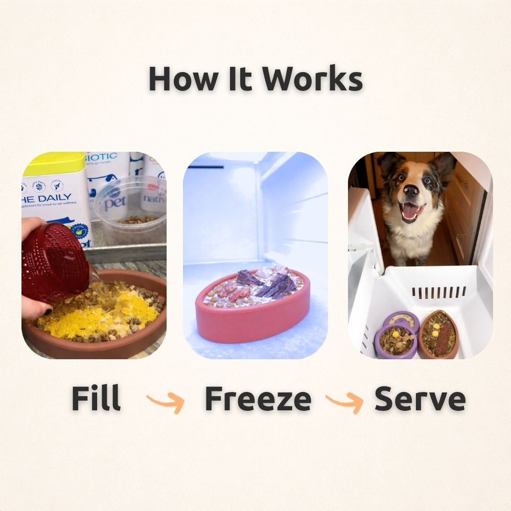 FreezFootball - Tough Enrichment Football Toy