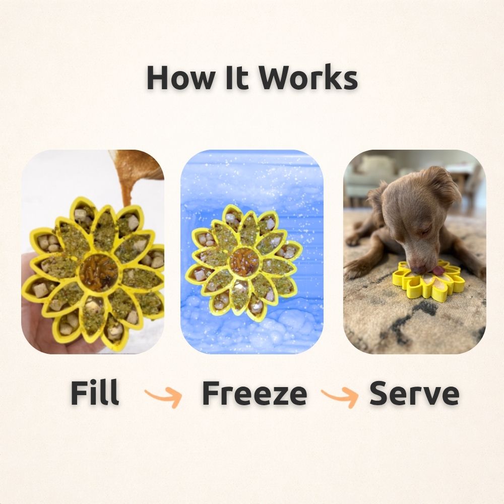 FreezSunflower - Interactive Frozen Sunflower Dog Chew For Tough Chewers