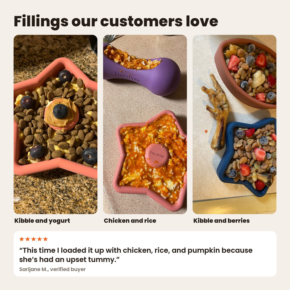 FreezStar fillings from customers: kibble and yogurt, chicken and rice, kibble and berries