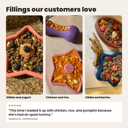 FreezStar fillings from customers: kibble and yogurt, chicken and rice, kibble and berries