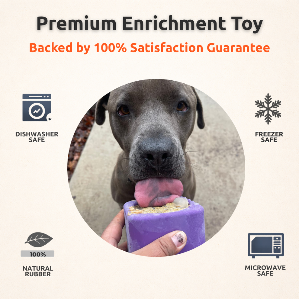 Freezbone Freezbox - Super Tough Treat Toy – Freezbone