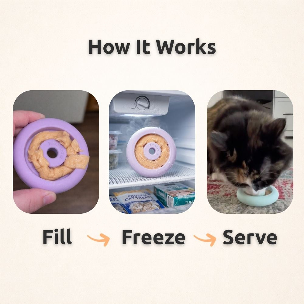 Freezring Cat Zen Relief Toy – Freezbone