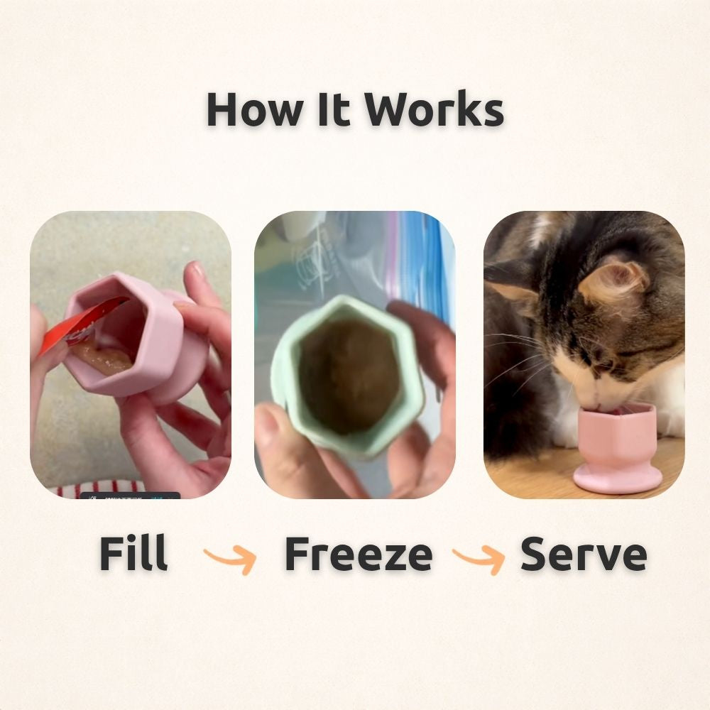 FreezSip Cat Fun Toy