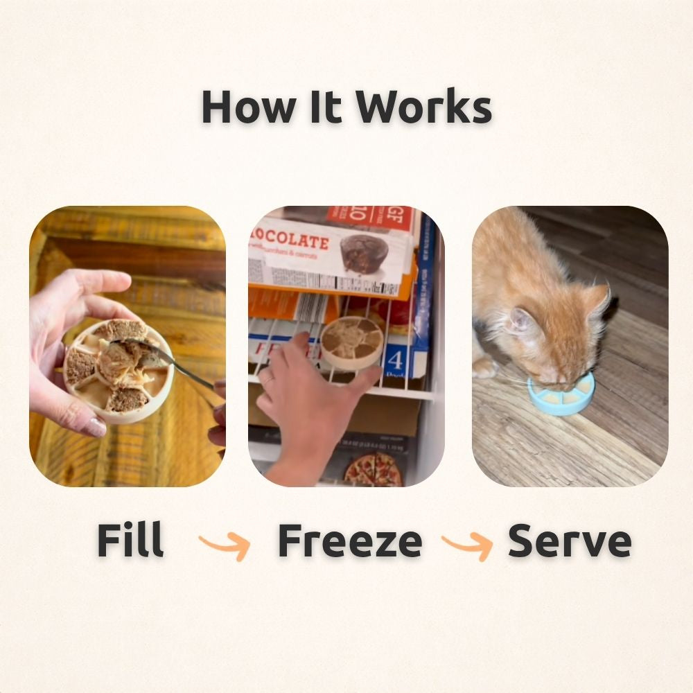 FreezSpin Cat Durable Interactive