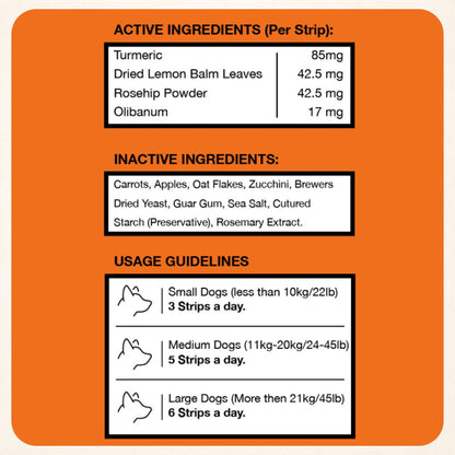 Freezbone Veggie Stick Bundle (4/pack: Carrot - Pumpkin - Apple mix)