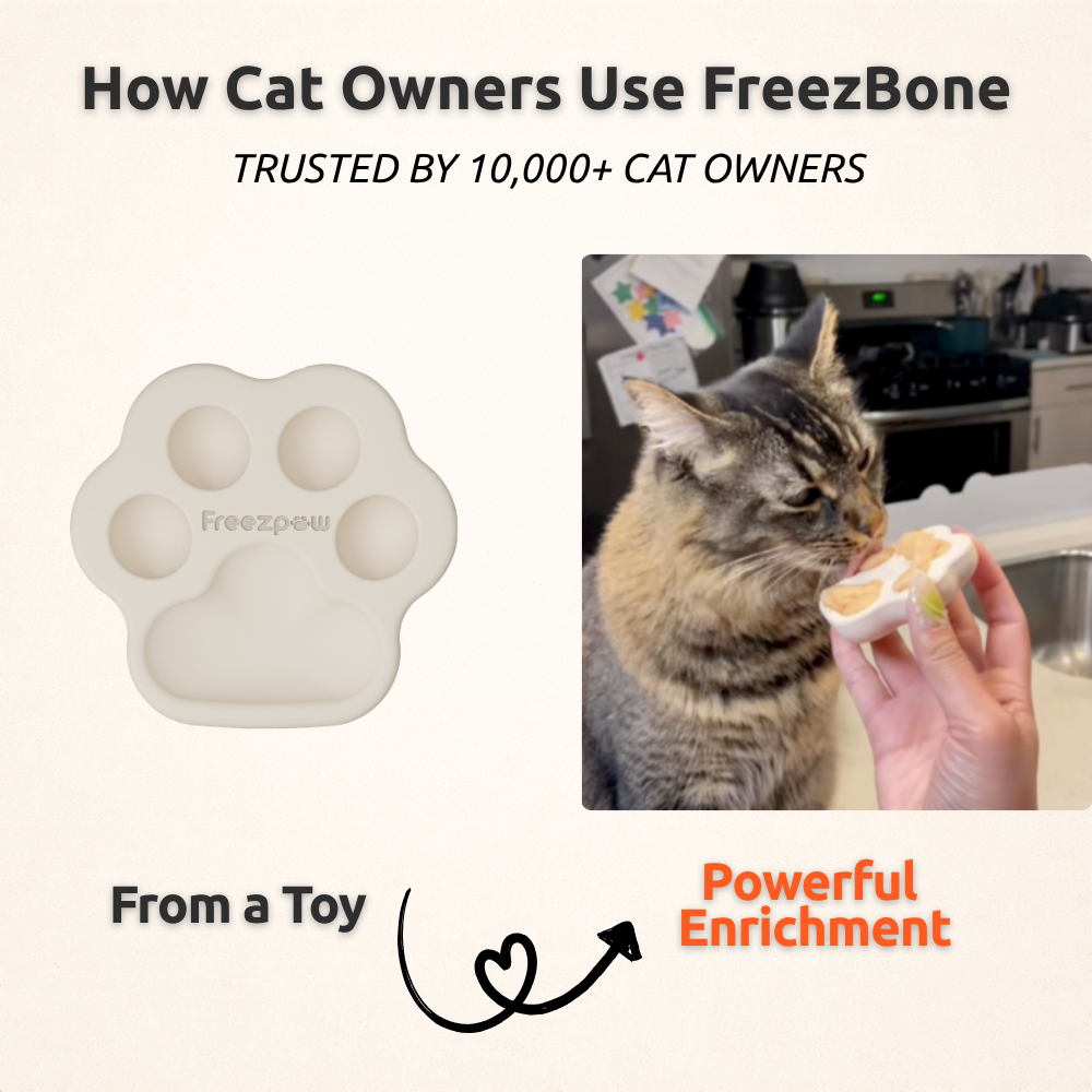 FreezPaw Cat Bundle