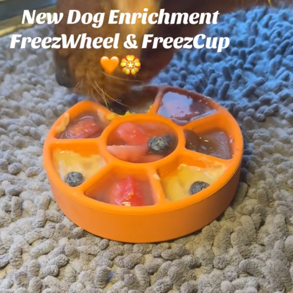 FreezWheel Bundle 90 Grams Fillers