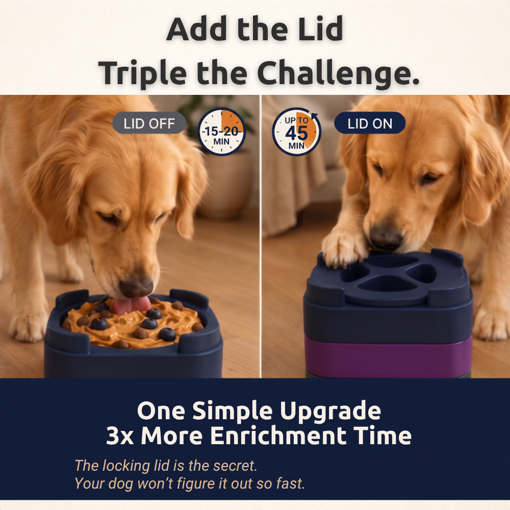FreezBrick - Stackable Frozen Treat Toy for Dogs