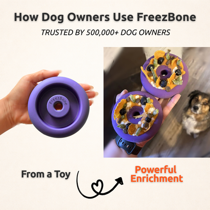 Small Dog Bundle
