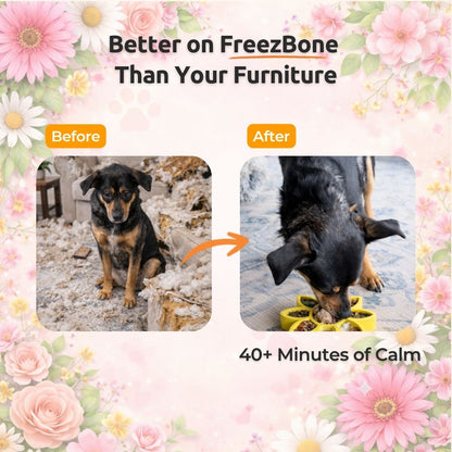 Flower Bundle - Beautiful spring-inspired bones that actually calm your dog
