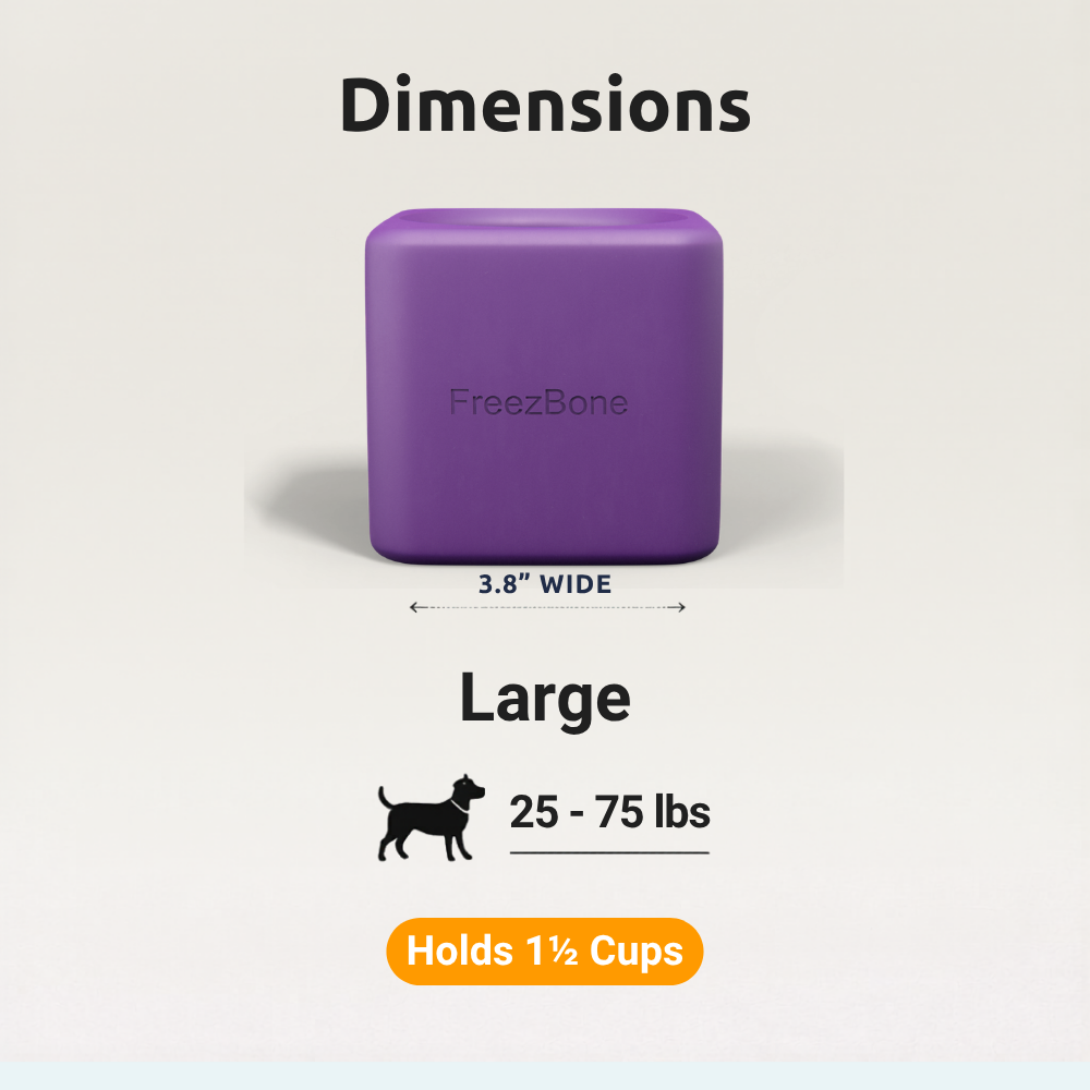 Freezbox - Super Tough Treat Toy